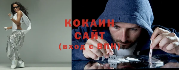 крисы Богородицк