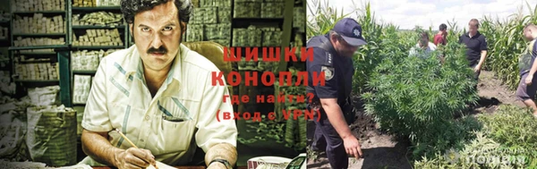 mdpv Богородск