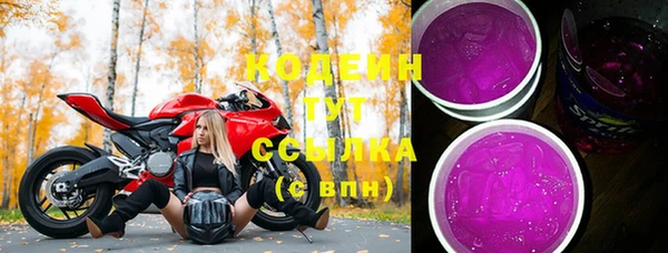 крисы Богородицк