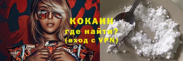 mdpv Богородск