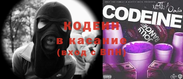 крисы Богородицк