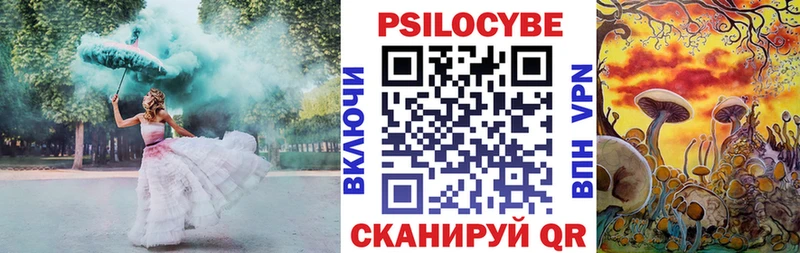 Псилоцибиновые грибы Psilocybine cubensis  где можно купить   Ильский 